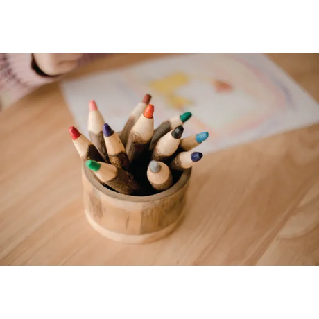 Tree Bark Pencils - Set of 12 - Modern Teaching Aids NZ