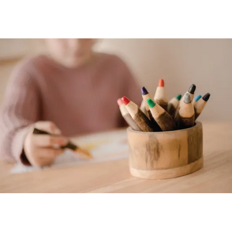 Tree Bark Pencils - Set of 12 - Modern Teaching Aids NZ