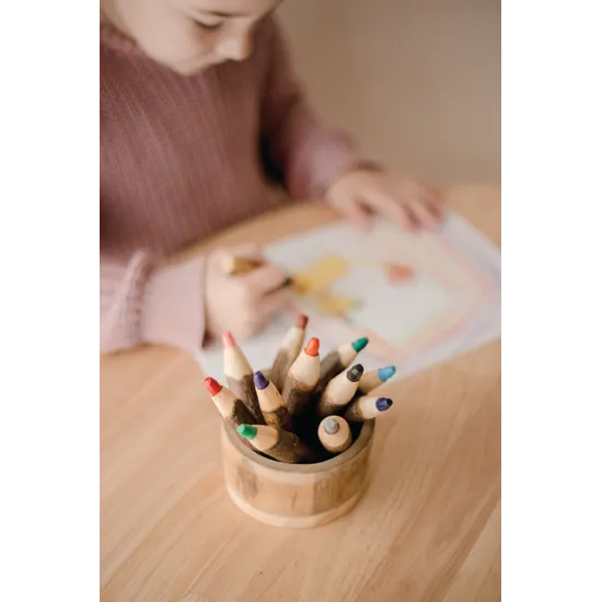 Tree Bark Pencils - Set of 12 - Modern Teaching Aids NZ