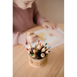 Tree Bark Pencils - Set of 12 - Modern Teaching Aids NZ