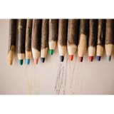 Tree Bark Pencils - Set of 12 - Modern Teaching Aids NZ
