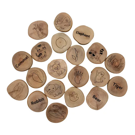 Animal Footprints and Habitats - Modern Teaching Aids NZ