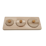 Montessori 3 Circle Puzzle
