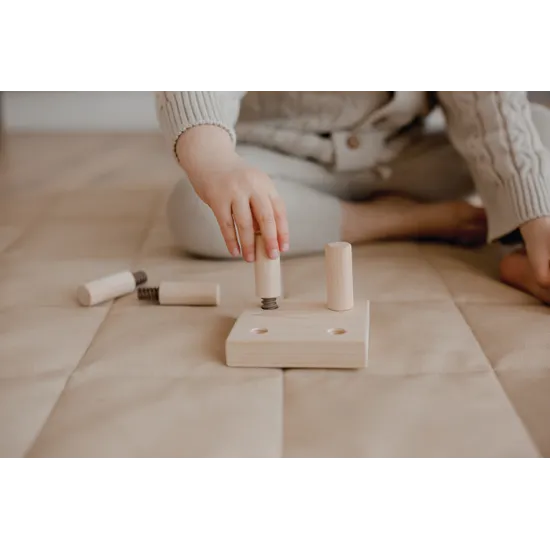 Montessori Screw Game