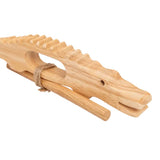 Singing Crocodile - Modern Teaching Aids NZ