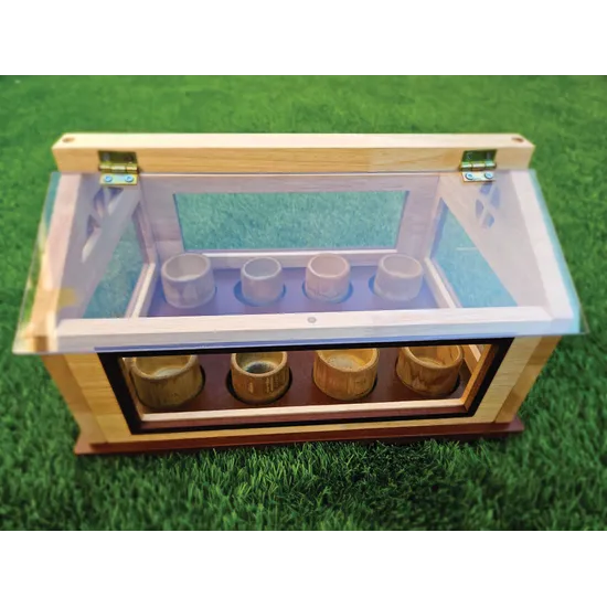Indoor Greenhouse - Modern Teaching Aids NZ