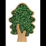 Eco Tree Set of 6 - Modern Teaching Aids NZ