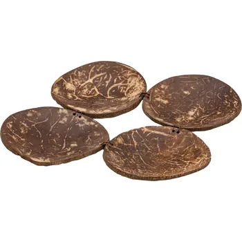 Coconut Painting Palette - Modern Teaching Aids NZ