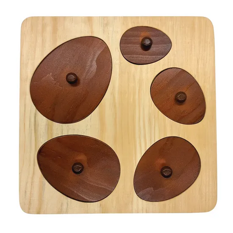 Hen Life Cycle Puzzle - Modern Teaching Aids NZ