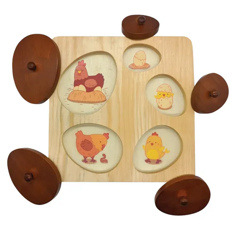 Hen Life Cycle Puzzle - Modern Teaching Aids NZ
