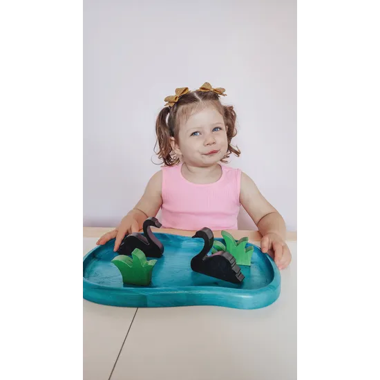 Swan Lake Play Set - Modern Teaching Aids NZ