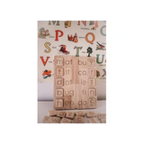 Wooden CVC Word Boards - Modern Teaching Aids NZ