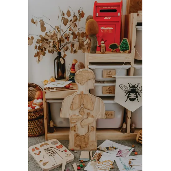 Human Anatomy Puzzle - Modern Teaching Aids NZ