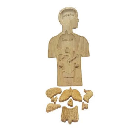Human Anatomy Puzzle - Modern Teaching Aids NZ