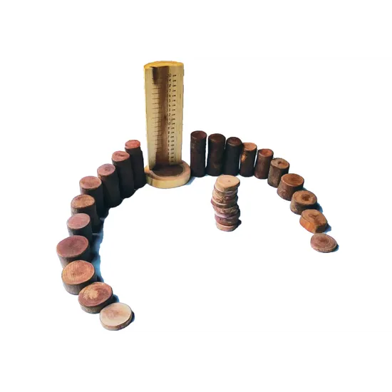 Natural Tree Maths Set with Ruler - Modern Teaching Aids NZ