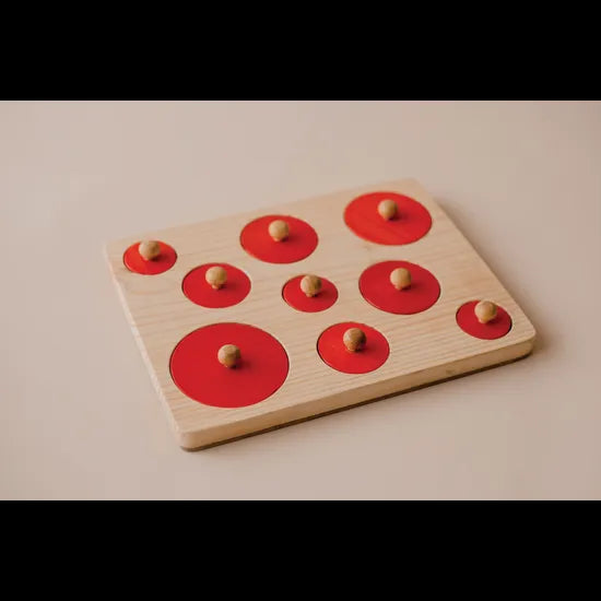 Montessori Circle Size Puzzle 9pce - Modern Teaching Aids NZ