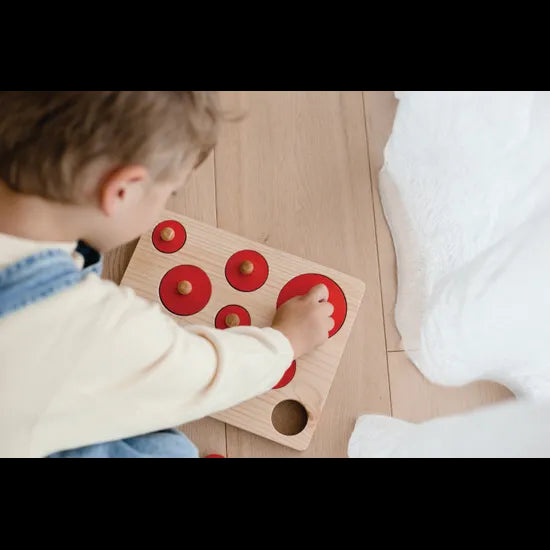 Montessori Circle Size Puzzle 9pce - Modern Teaching Aids NZ