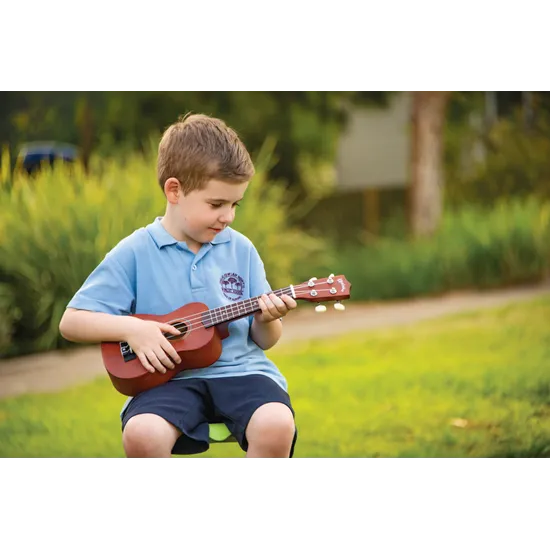 Ukulele - Modern Teaching Aids NZ