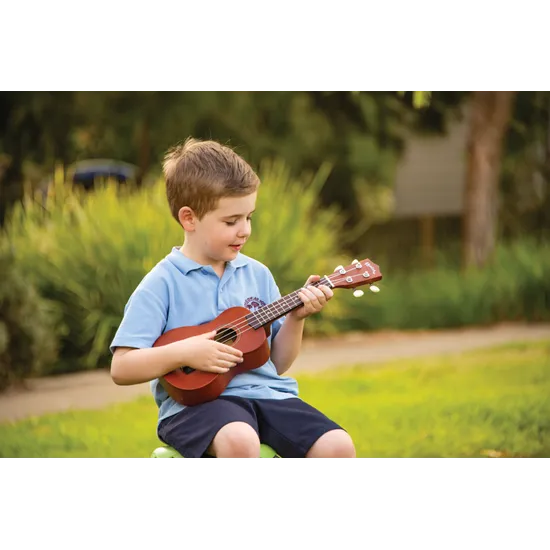 Ukulele - Modern Teaching Aids NZ