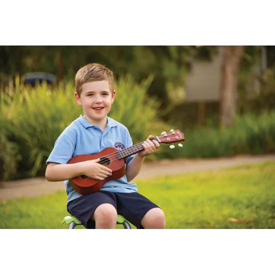 Ukulele - Modern Teaching Aids NZ