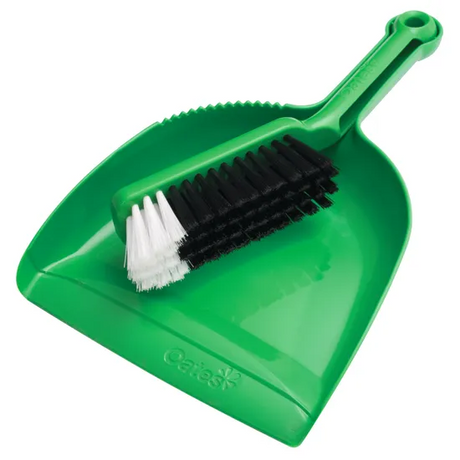 Dustpan and Brush Set Green - Modern Teaching Aids NZ