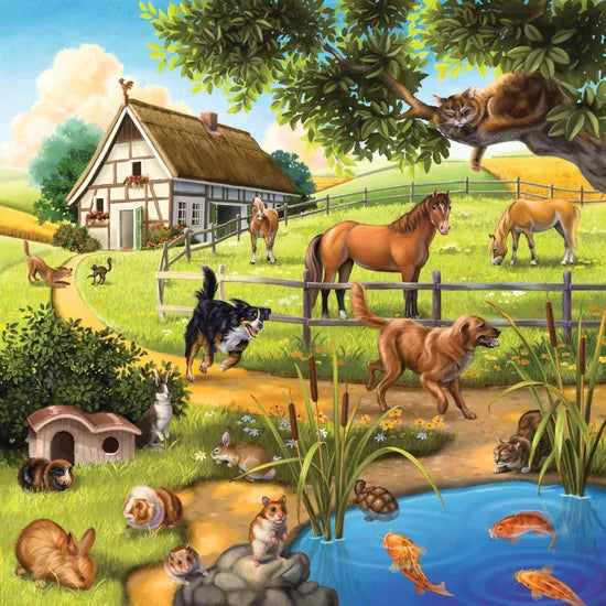 Rburg - Forest Zoo & Pets Puzzle 3x49pc - Modern Teaching Aids NZ