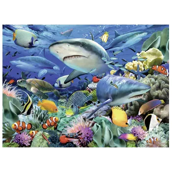 Rburg - Reef of the Sharks Puzzle 100p - Modern Teaching Aids NZ