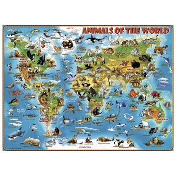 Rburg - Animals of the World 300p - Modern Teaching Aids NZ
