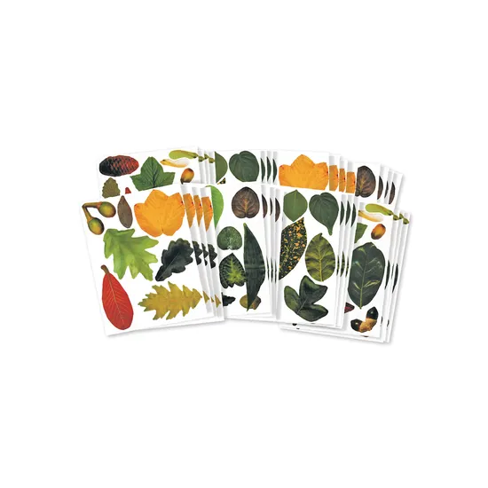 Crafty Leaves Paper Shapes - Pack of 266 - Modern Teaching Aids NZ