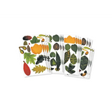 Crafty Leaves Paper Shapes - Pack of 266 - Modern Teaching Aids NZ