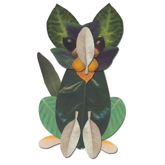 Crafty Leaves Paper Shapes - Pack of 266 - Modern Teaching Aids NZ