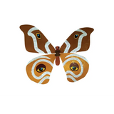 Beautiful Bugs - Pack of 64 - Modern Teaching Aids NZ