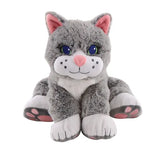 Chloe the Comfort Cat (1.134kg) - Modern Teaching Aids NZ