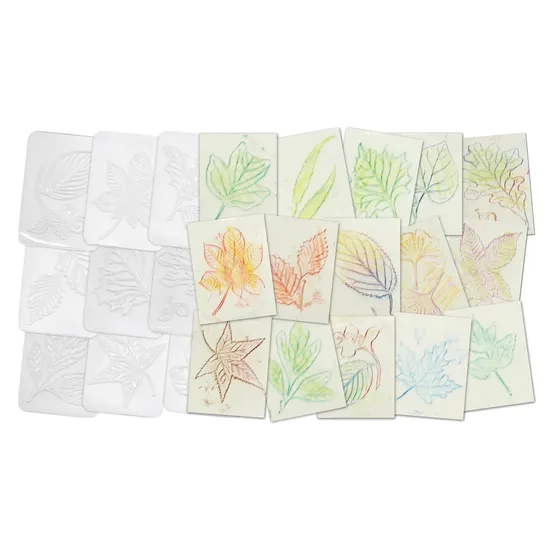 Leaf Rubbing Plates - Set of 16 - Modern Teaching Aids NZ