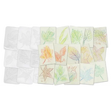 Leaf Rubbing Plates - Set of 16 - Modern Teaching Aids NZ