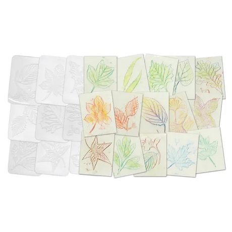 Leaf Rubbing Plates - Set of 16 - Modern Teaching Aids NZ
