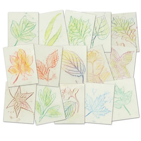 Leaf Rubbing Plates - Set of 16 - Modern Teaching Aids NZ