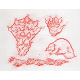 Animal Track Rubbing Plates - Modern Teaching Aids NZ