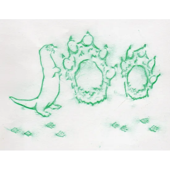 Animal Track Rubbing Plates - Modern Teaching Aids NZ