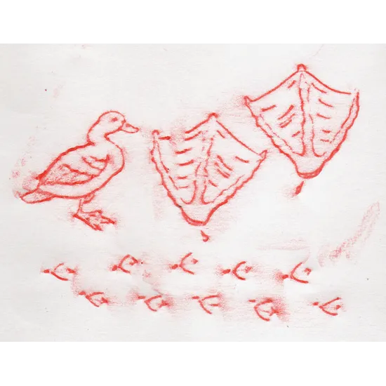 Animal Track Rubbing Plates - Modern Teaching Aids NZ