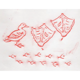 Animal Track Rubbing Plates - Modern Teaching Aids NZ