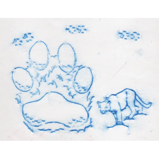 Animal Track Rubbing Plates - Modern Teaching Aids NZ