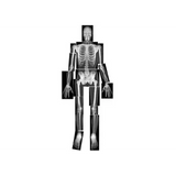 True To Life Human X Rays - 18 Pieces - Modern Teaching Aids NZ