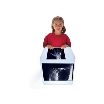 Fixed Bones X-Rays - Set of 14 Cards - Modern Teaching Aids NZ