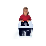 Fixed Bones X-Rays - Set of 14 Cards - Modern Teaching Aids NZ