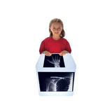 Fixed Bones X-Rays - Set of 14 Cards - Modern Teaching Aids NZ