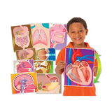 My Body In Action - Set of 10 Cards - Modern Teaching Aids NZ