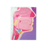 My Body In Action - Set of 10 Cards - Modern Teaching Aids NZ