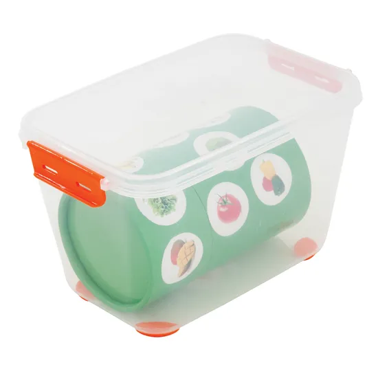 Plastic Container with lid 3.0 Litre - Modern Teaching Aids NZ
