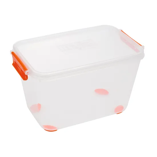 Plastic Container with lid 3.0 Litre - Modern Teaching Aids NZ